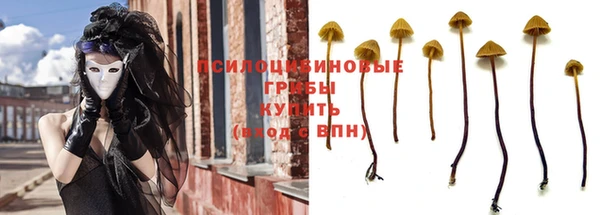 Альфа ПВП Беломорск