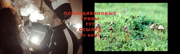 гидропоника Белокуриха