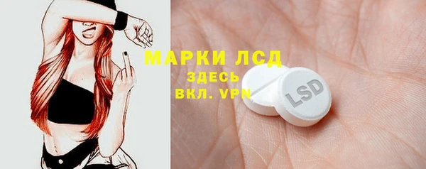 PSILOCYBIN Богданович