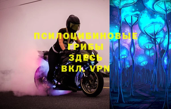 гидропоника Белокуриха